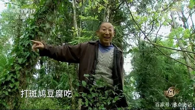 致富经豆腐全集视频_致富经做豆腐_豆腐致富经