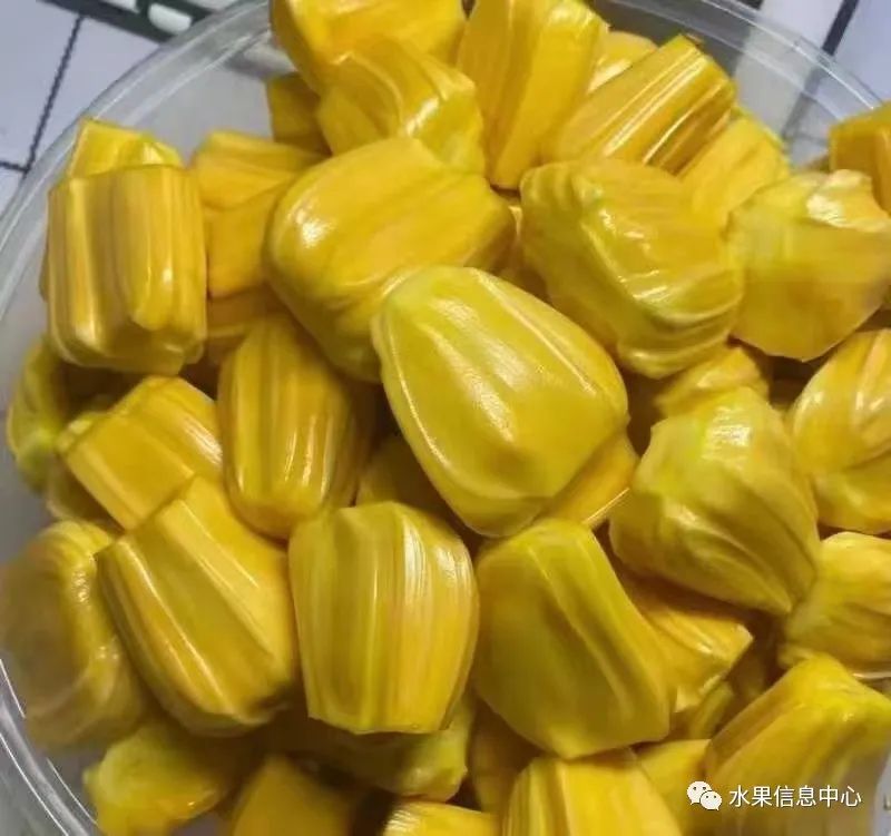 蜜菠萝种植技术新闻报道_菠萝蜜种植新技术_蜜菠萝种植技术新闻