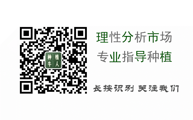 视频种植樱桃技术要点_视频种植樱桃技术视频教程_樱桃种植技术视频