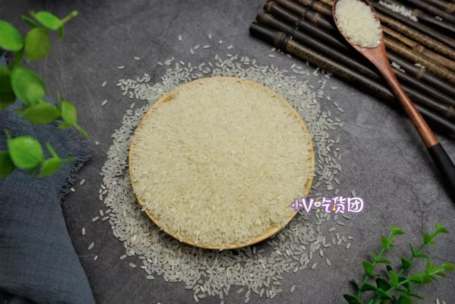 农村吃米的鸟_大米鸟吃吗_致富经鸟都不吃的大米