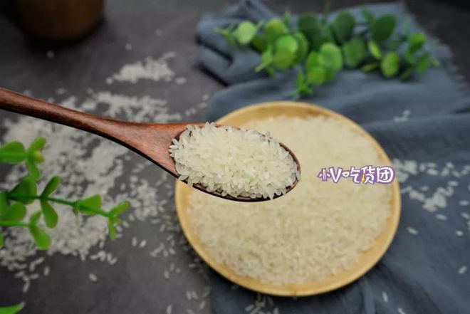 农村吃米的鸟_大米鸟吃吗_致富经鸟都不吃的大米