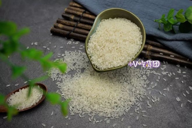 大米鸟吃吗_致富经鸟都不吃的大米_农村吃米的鸟