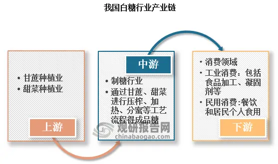 甘蔗种植致富吗_致富甘蔗种植技术视频_种植甘蔗致富能手