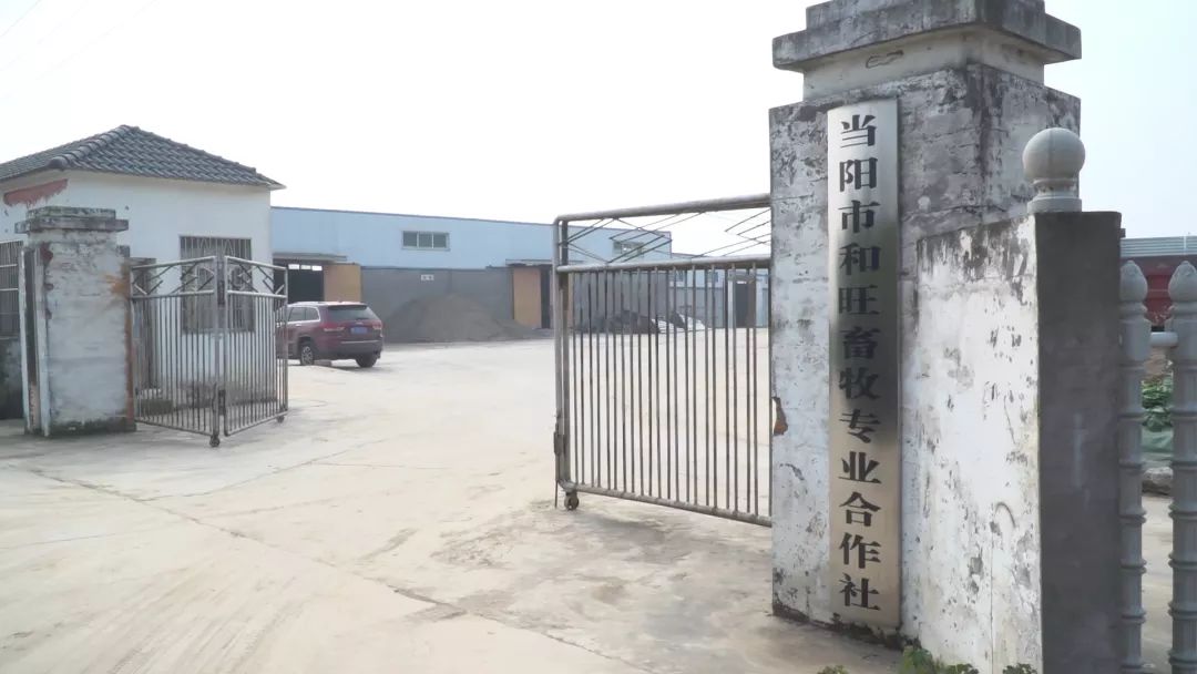 李俊俊：脱贫致富康庄大道上的“牛人”