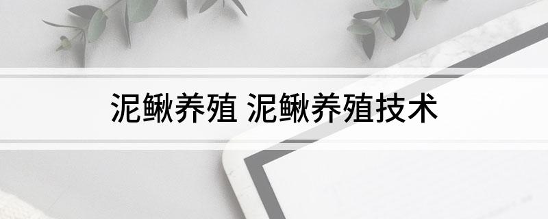 养殖泥鳅挣钱吗_免费泥鳅养殖技术供给_养殖泥鳅需要什么条件