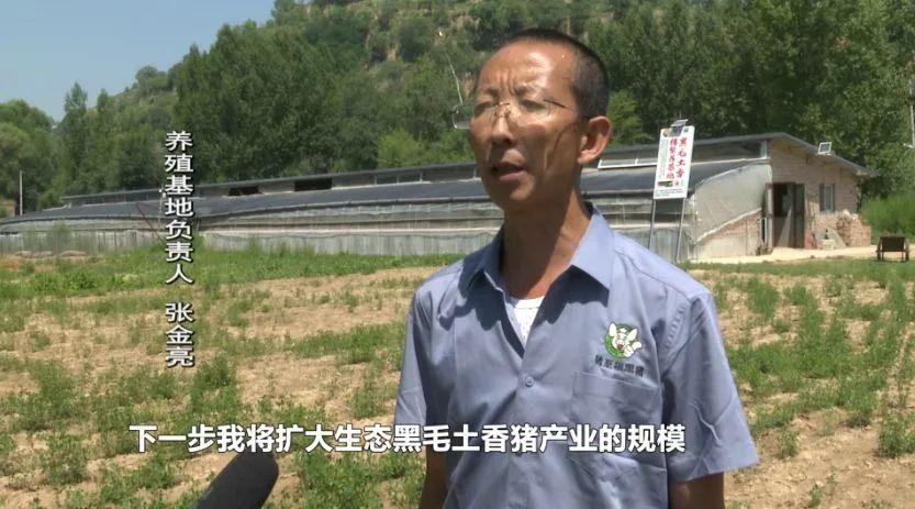 致富经土猪养殖_养殖土猪要投资多少钱_农村土猪养殖前景