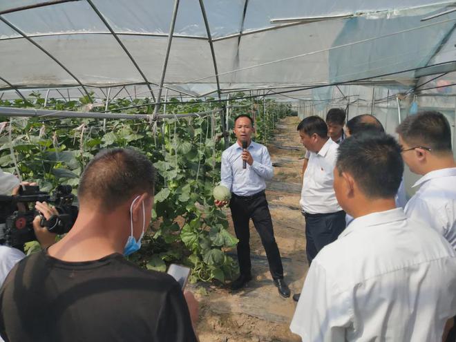 瓜大姐种植致富_瓜大姐种植致富_瓜大姐种植致富