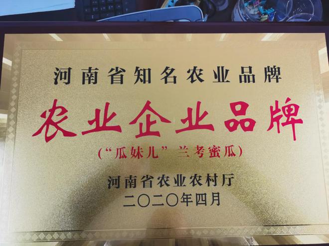 瓜大姐种植致富_瓜大姐种植致富_瓜大姐种植致富
