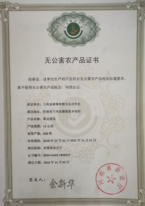 瓜大姐种植致富_瓜大姐种植致富_瓜大姐种植致富