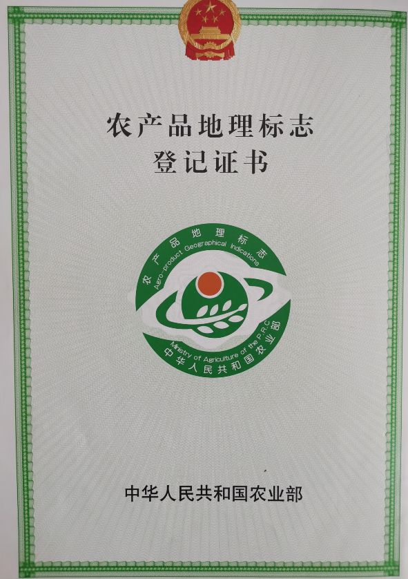 瓜大姐种植致富_瓜大姐种植致富_瓜大姐种植致富