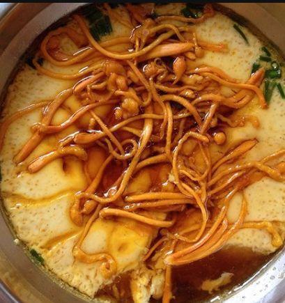 补益肺肾虫草花