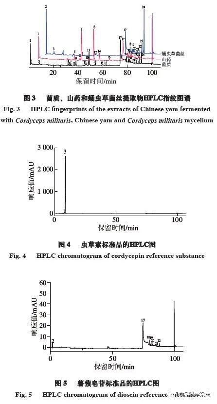 蛹虫草的价值_蛹虫草作用_致富经蛹虫草