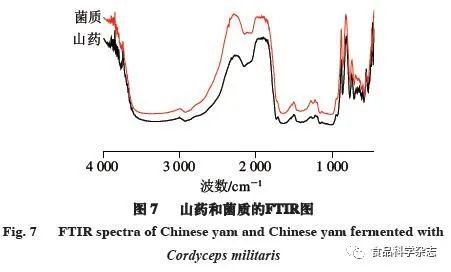 致富经蛹虫草_蛹虫草作用_蛹虫草的价值