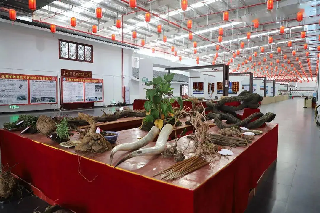 辣椒致富经_辣椒怎么种植致富_致富辣椒种植技术视频