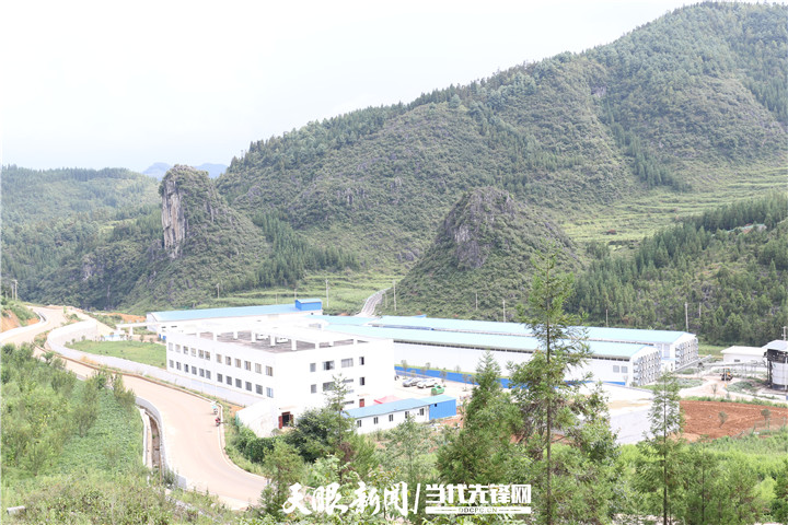 蛋鸡养殖 致富事迹_致富事迹养殖蛋鸡心得体会_致富事迹养殖蛋鸡怎么写