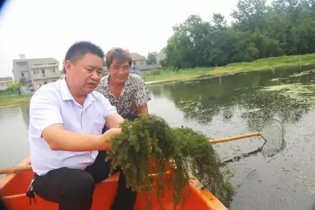 龙虾养殖技术讲座_湖南龙虾养殖基地_湖南龙虾养殖技术培训
