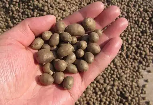 山药豆的种植技术_农村山药豆种植技术_豆山药种植农村技术与管理