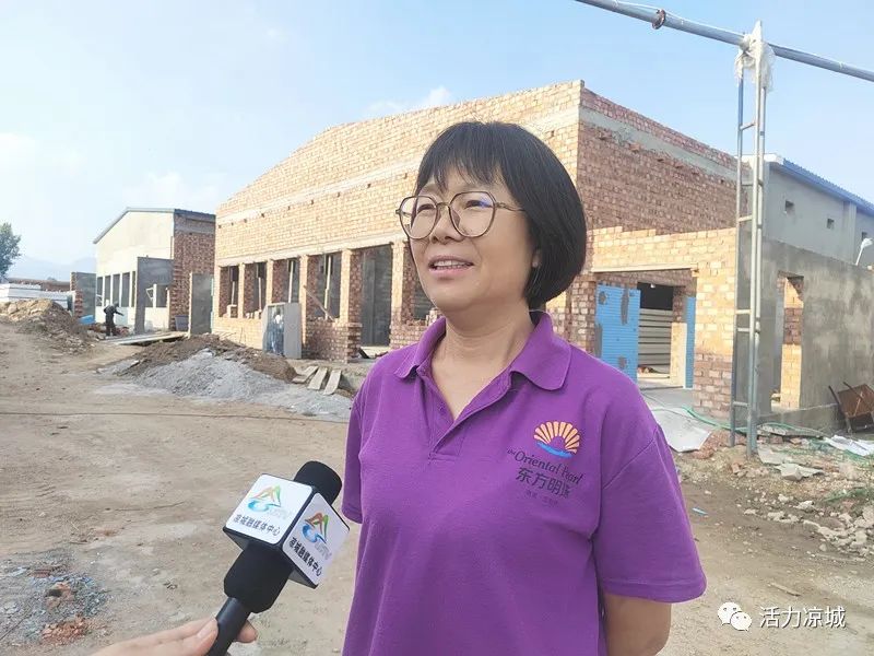致富项目养鸡_蛋鸡养殖致富方法_养殖致富网养鸡