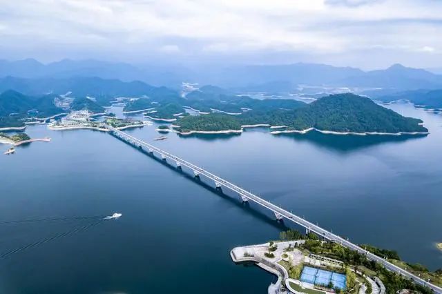 养殖蛇松花技术与管理_养殖蛇松花技术视频_松花蛇养殖技术