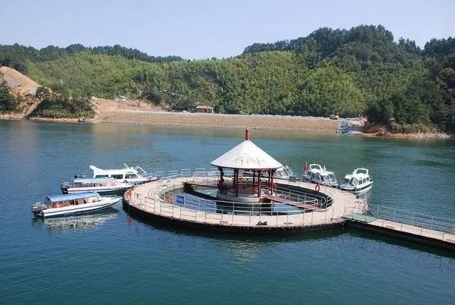 养殖蛇松花技术视频_养殖蛇松花技术与管理_松花蛇养殖技术