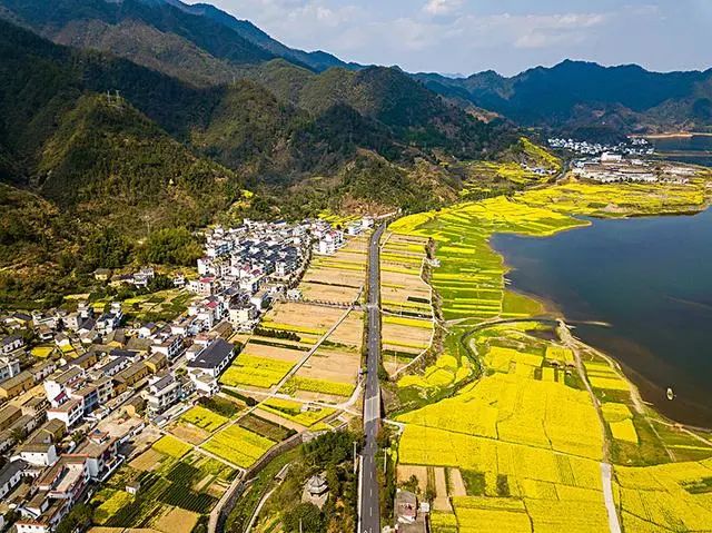 养殖蛇松花技术与管理_养殖蛇松花技术视频_松花蛇养殖技术