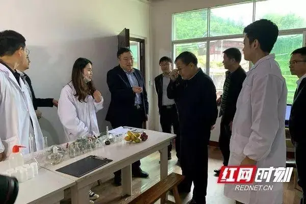 种植黑老虎致富_种黑老虎发财是骗局_种黑老虎可以致富吗
