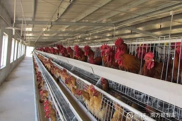 这个老板养殖技术好_养殖老板怎么称呼_养殖户老板