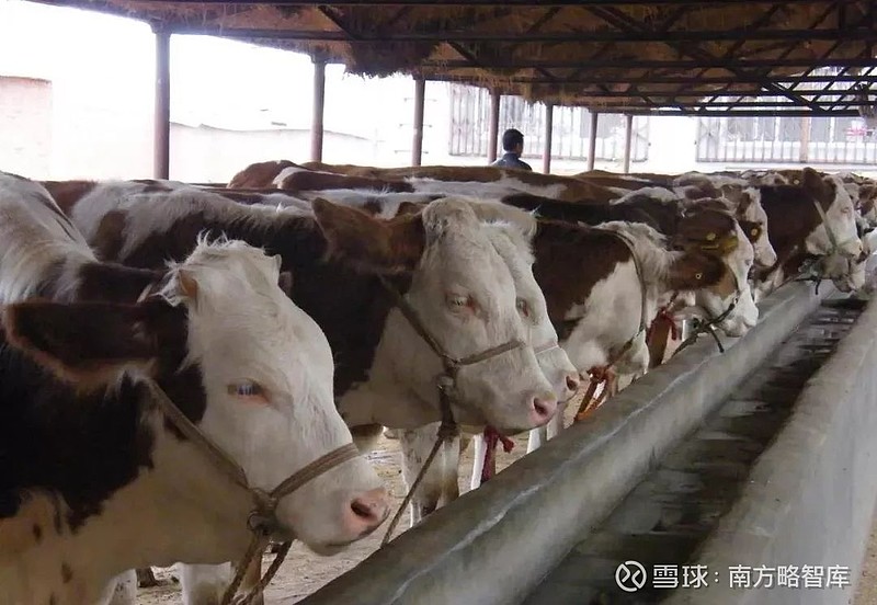 养殖老板怎么称呼_养殖户老板_这个老板养殖技术好