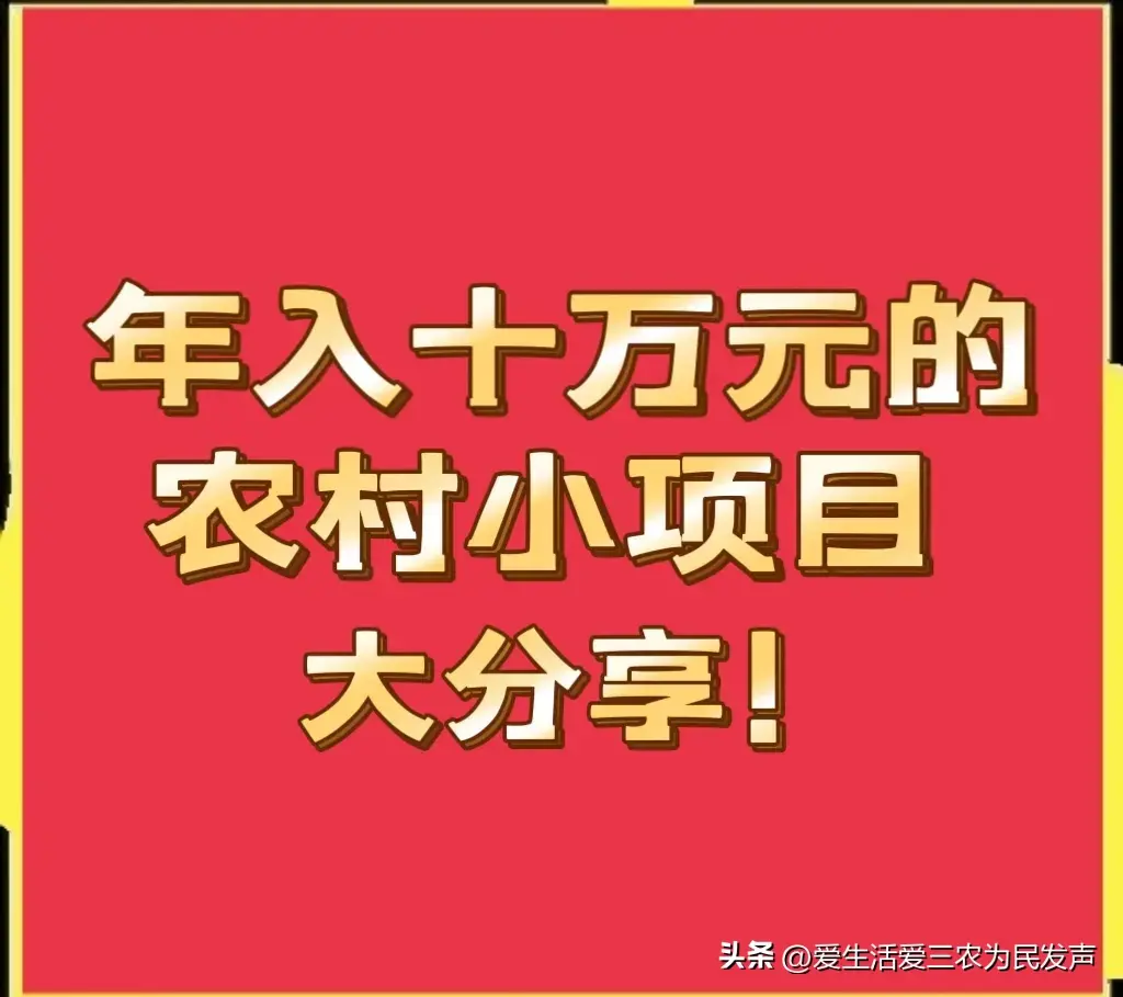 年入十万元的农村项目大分享，想赚钱的看过来，建议收藏！