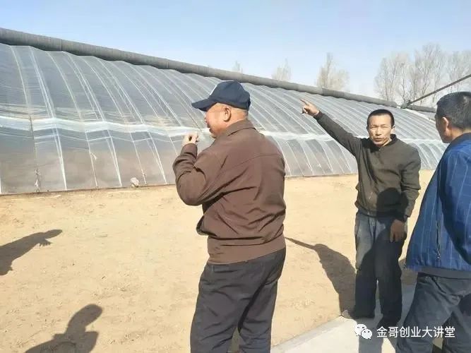 农村冷门的暴利养殖，一只能卖500元，养500只轻松年赚17万！