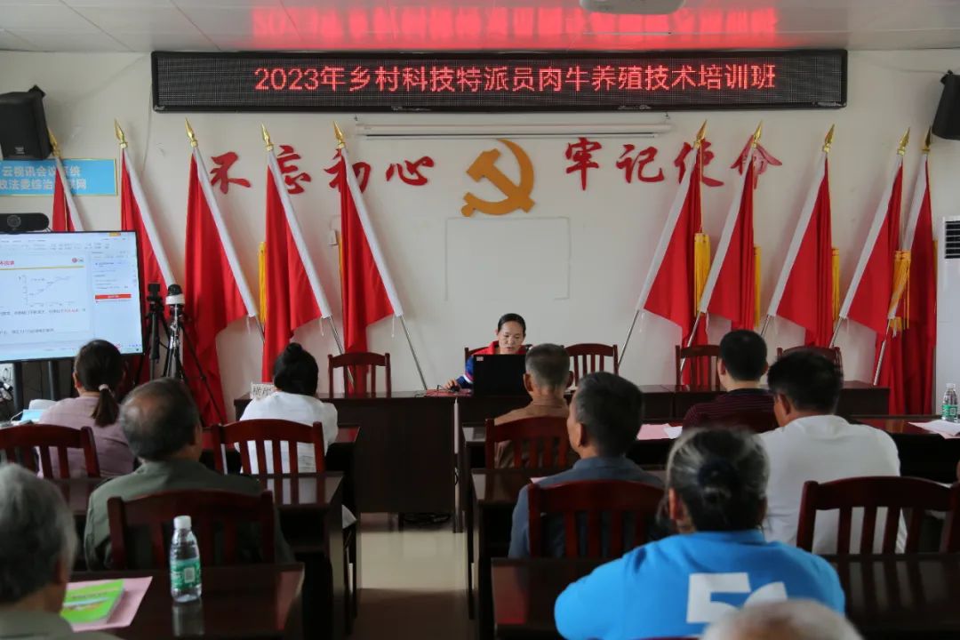 养殖石鸡视频_养殖大石鸡技术与管理_大石鸡养殖技术