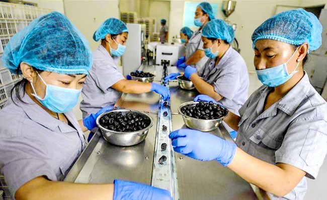 大蒜种植施肥技术_大蒜的施肥技术_大蒜施肥种植技术视频