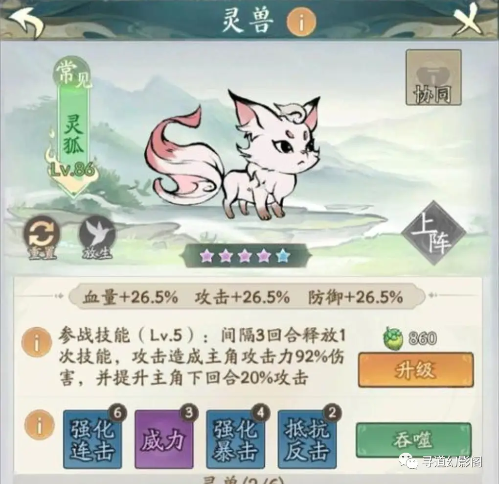 养殖狐狸致富视频_养殖狐狸挣钱吗_视频致富狐狸养殖