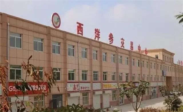威海种植草莓致富新闻_威海草莓产业论坛_威海草莓采摘园什么时候开放
