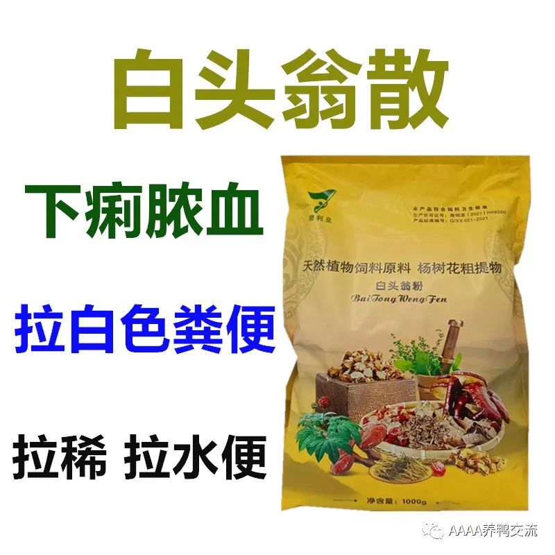 鹅的养殖技术_致富经鹅养殖技术_养殖鹅致富经
