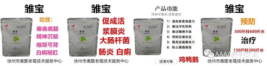 鹅的养殖技术_鹅致富养殖技术有哪些_致富经鹅养殖技术