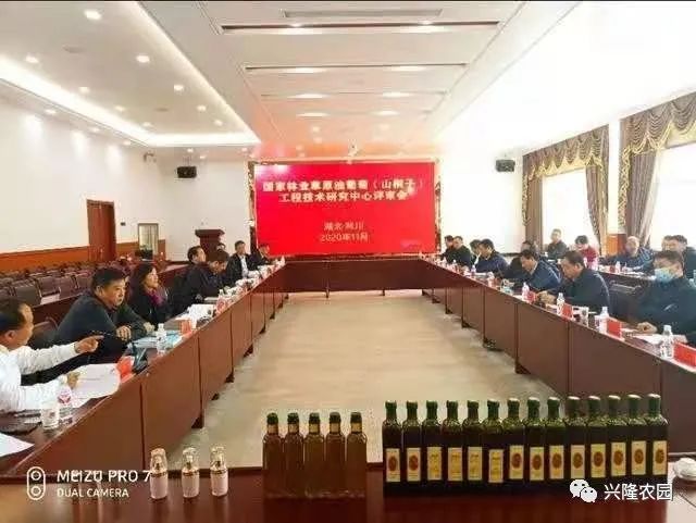 致富经葡萄种植视频_葡萄林种植致富_致富种植葡萄林图片