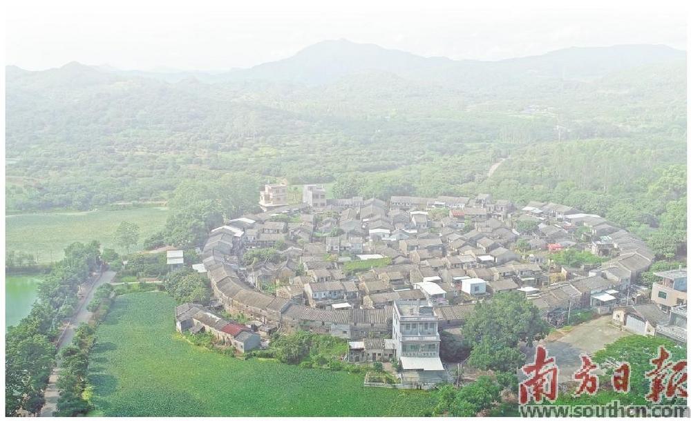 潮州种植致富_潮州蔬菜种植基地_潮州适合种植什么药材