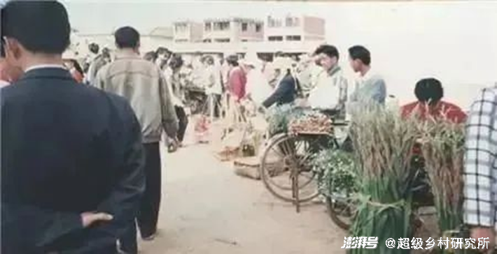 河南花卉种植致富_河南花卉种植批发基地_河南花卉种植基地