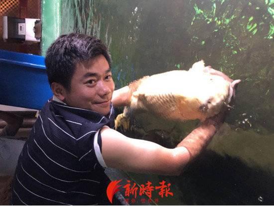 养殖锦鲤致富视频_小伙养殖锦鲤_视频致富养殖锦鲤视频大全