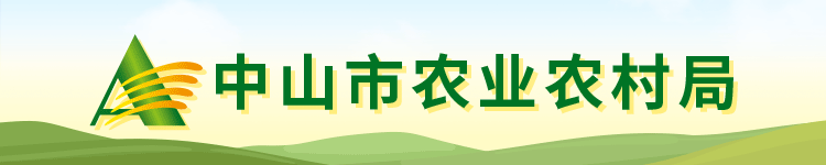 贵州生鱼养殖技术_贵州生态鱼养殖基地_贵州生态鱼养殖
