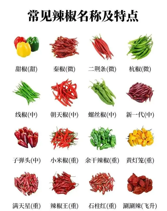 辣椒小米椒的栽培技术_小米辣椒的种植_小米辣椒种植技术视频