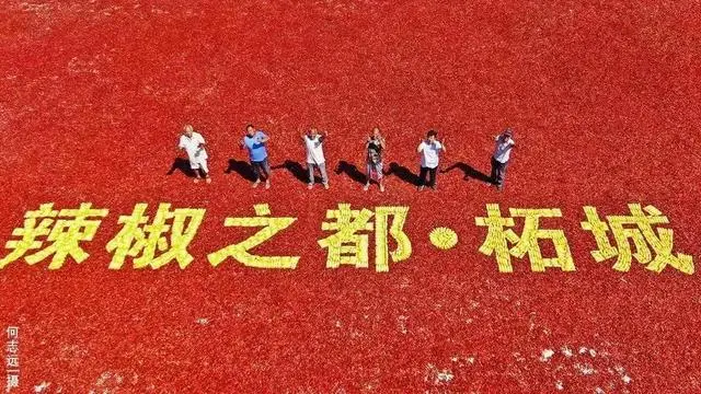 小米辣椒的种植_小米辣椒种植技术视频_辣椒小米椒的栽培技术