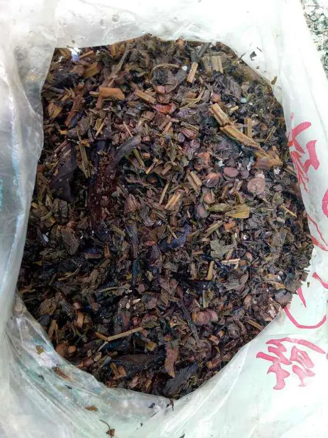 原来苦苦的中药渣也能养花，不比买的花肥差，做成营养土真好用！
