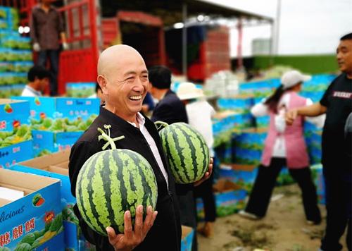 西瓜长刺_致富经刺西瓜的种植_西瓜种植技术大全
