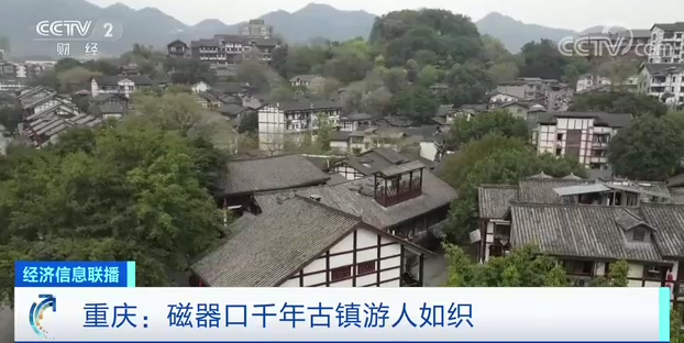 农村种植致富好项目视频_农村种花致富能人_农村种植花能致富吗视频