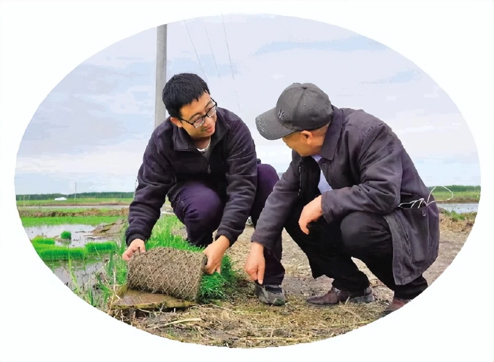 农民种植水果致富_致富水果种植农民怎么样_农业种植水果致富项目