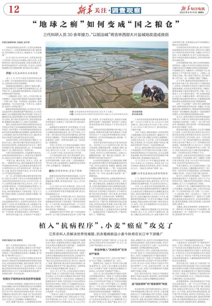 农业种植水果致富项目_农民种植水果致富_致富水果种植农民怎么样