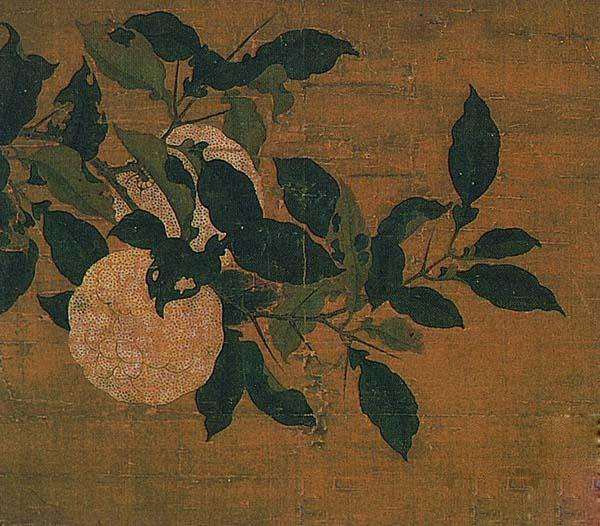 湖南柚子苗_湖南种植柚子技术_柚子湖南种植技术视频