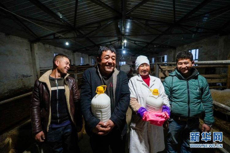 驴养殖技术视频_迷你驴养殖致富_养驴致富视频